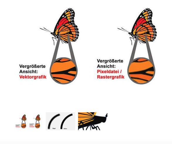 Beispielbild Vektorgrafik vs. Pixeldatei | Unterschied einfach erklärt Unterschied zwischen Vektorgrafik und Pixeldatei – Scharfe Konturen vs. verpixelte Kanten