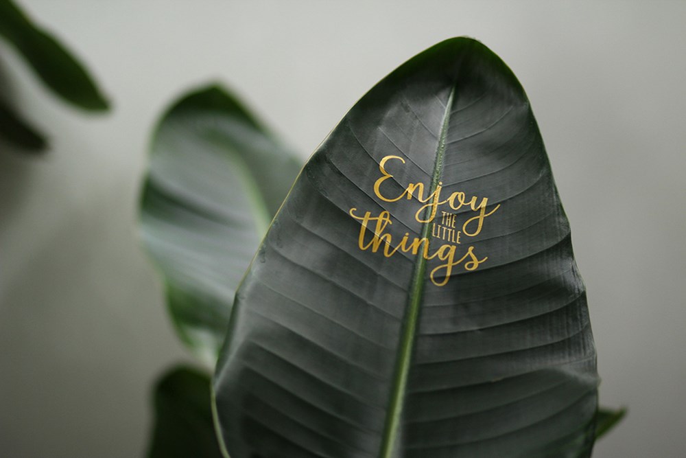 Message Printz® - Strelitzia small