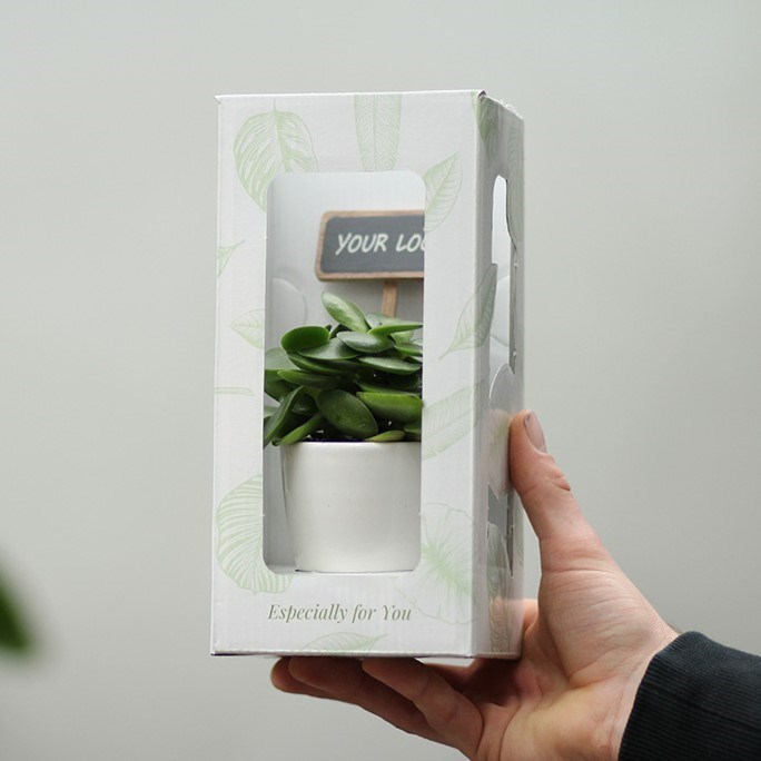 ChalkNotes® - Green mix, Ohne Verpackung ChalkNotes® - Green mix, Ohne Verpackung