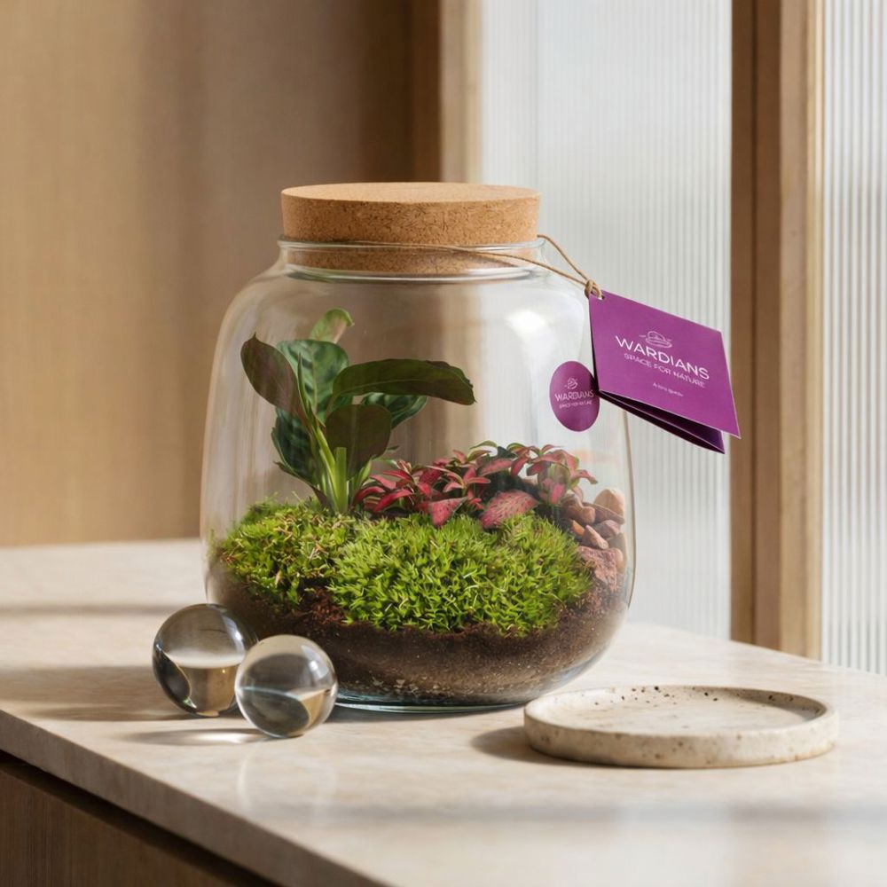 Wardians® Ecosystem - Sphere medium, Ohne Verpackung