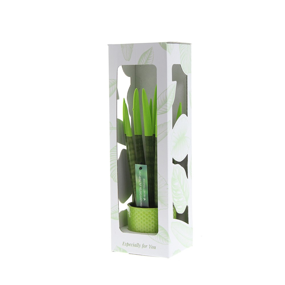 Sansevieria TOP-line - Velvet Touchz® medium, In Geschenkbox, Lila Sansevieria TOP-line - Velvet Touchz® medium, In Geschenkbox, Lila