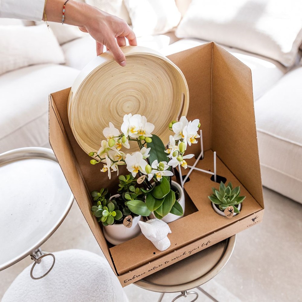Botanical Giftset large - Travertine Charm Botanical Giftset large - Travertine Charm