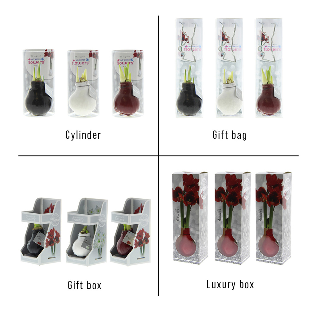 No Water Flowers® - Art, In einer Geschenktüte