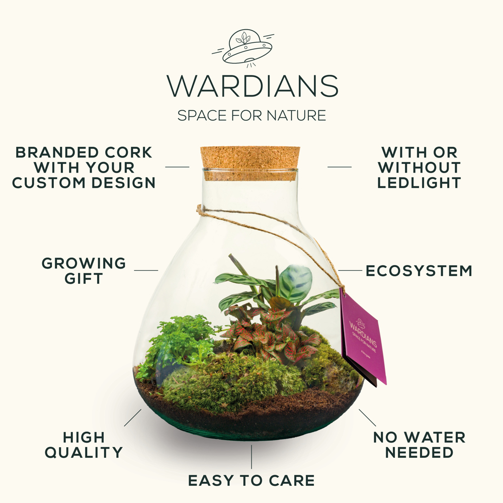 Wardians® Ecosystem - Conical small, In Geschenkbox Wardians® Ecosystem - Conical small, In Geschenkbox