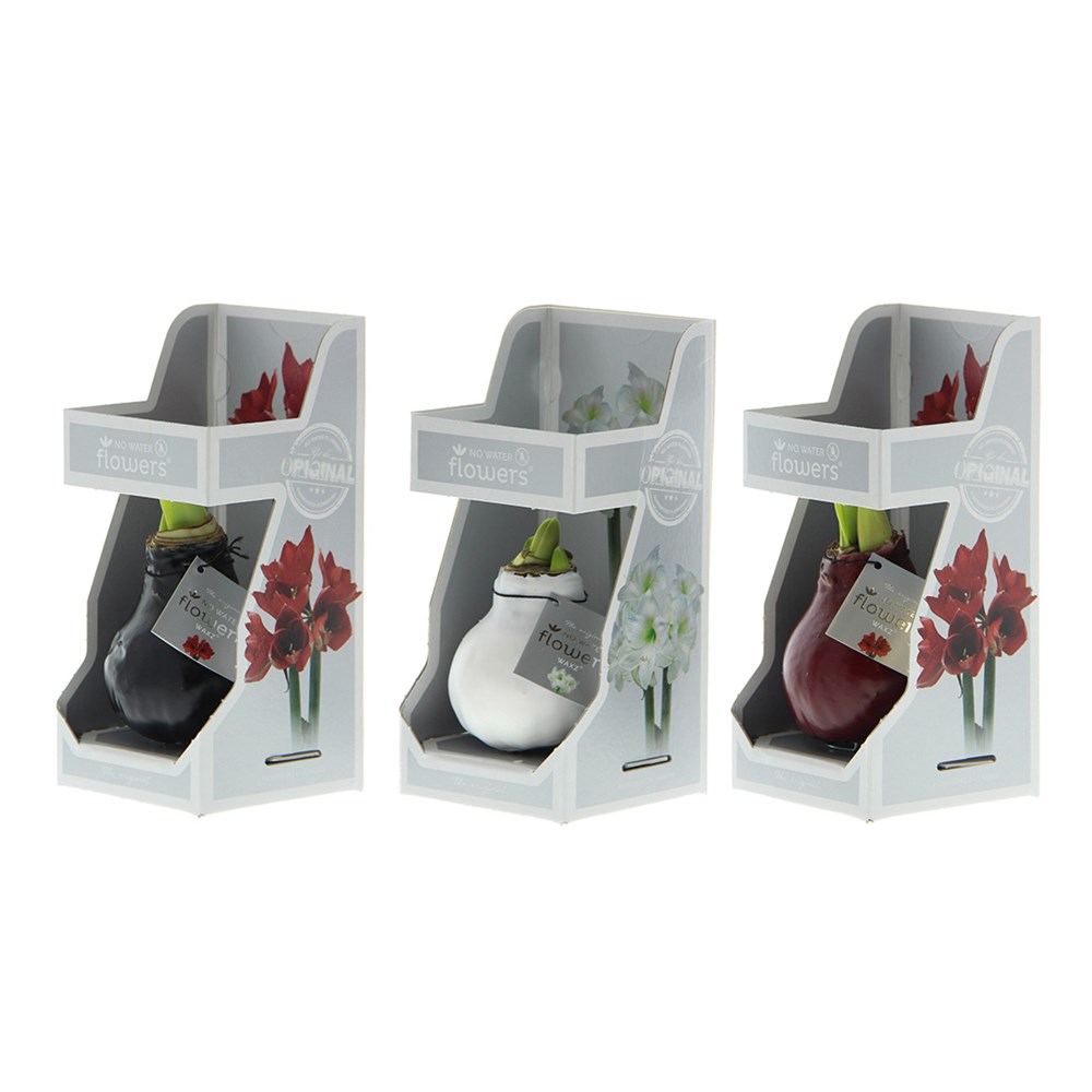 No Water Flowers® - Giletz Bowtie, In einer Geschenktüte No Water Flowers® - Giletz Bowtie, In einer Geschenktüte
