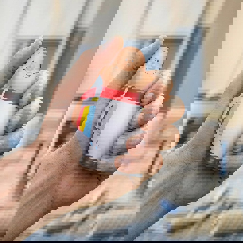 Maler Bert®, multicolour, one size