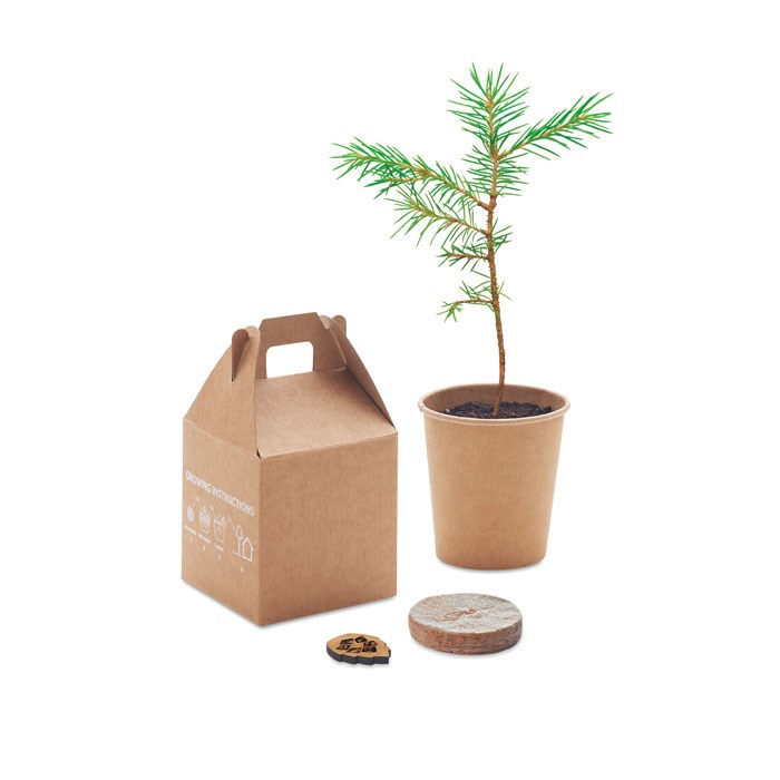 GROWTREE™ - Kiefernsamen-Set GROWTREE™ - Kiefernsamen-Set