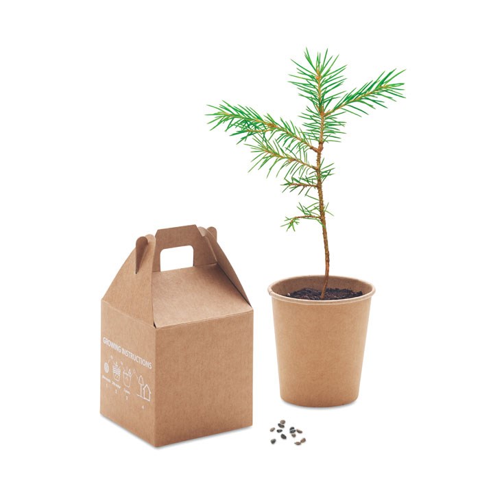 GROWTREE™ - Kiefernsamen-Set GROWTREE™ - Kiefernsamen-Set