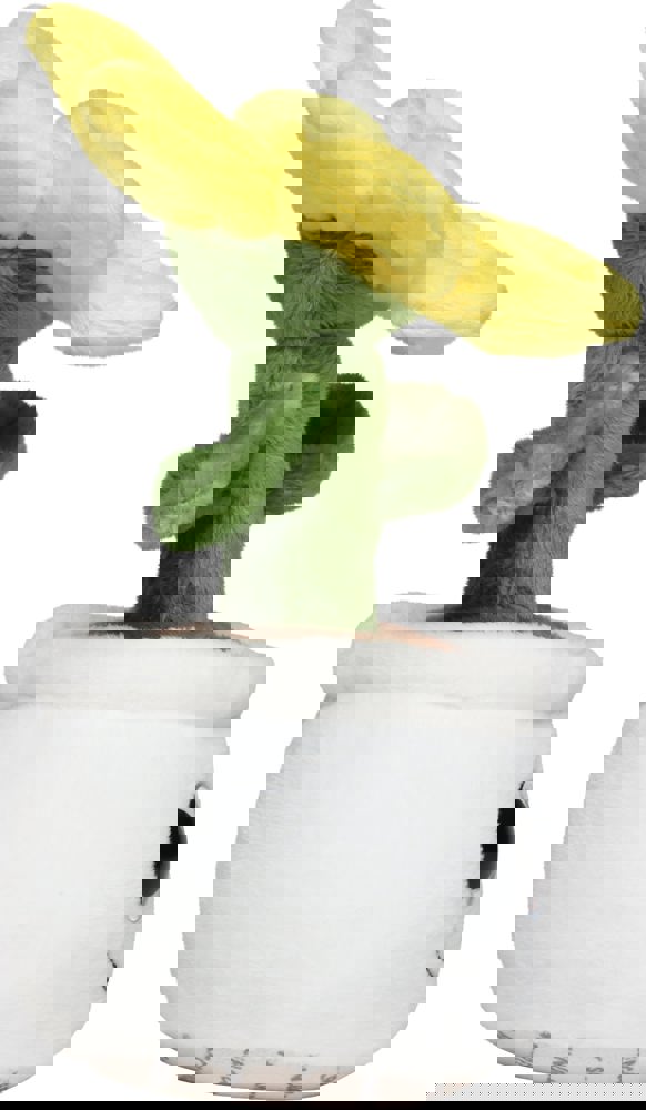 Schmoozies® Evergreenies® Sonnenblume, multicolour, one size