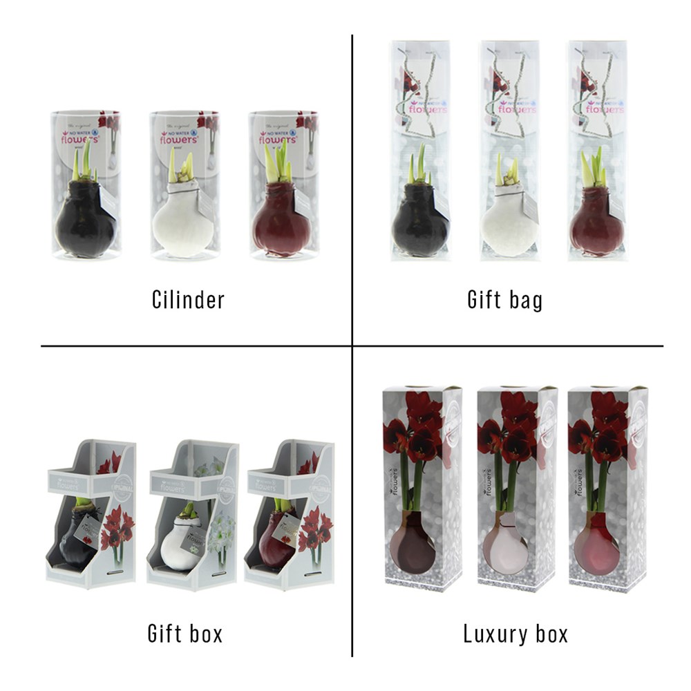No Water Flowers® - Art, In einer Geschenktüte No Water Flowers® - Art, In einer Geschenktüte