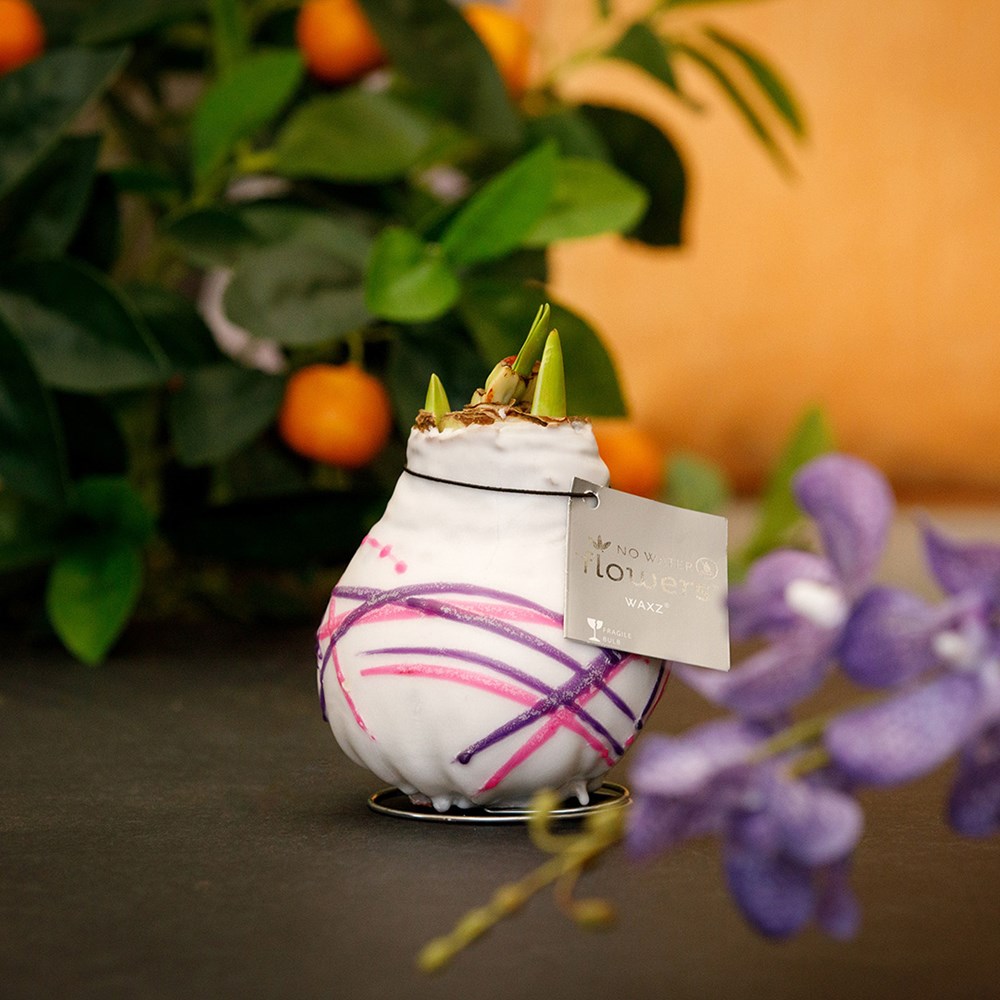 No Water Flowers® - Art, In einer Geschenktüte No Water Flowers® - Art, In einer Geschenktüte