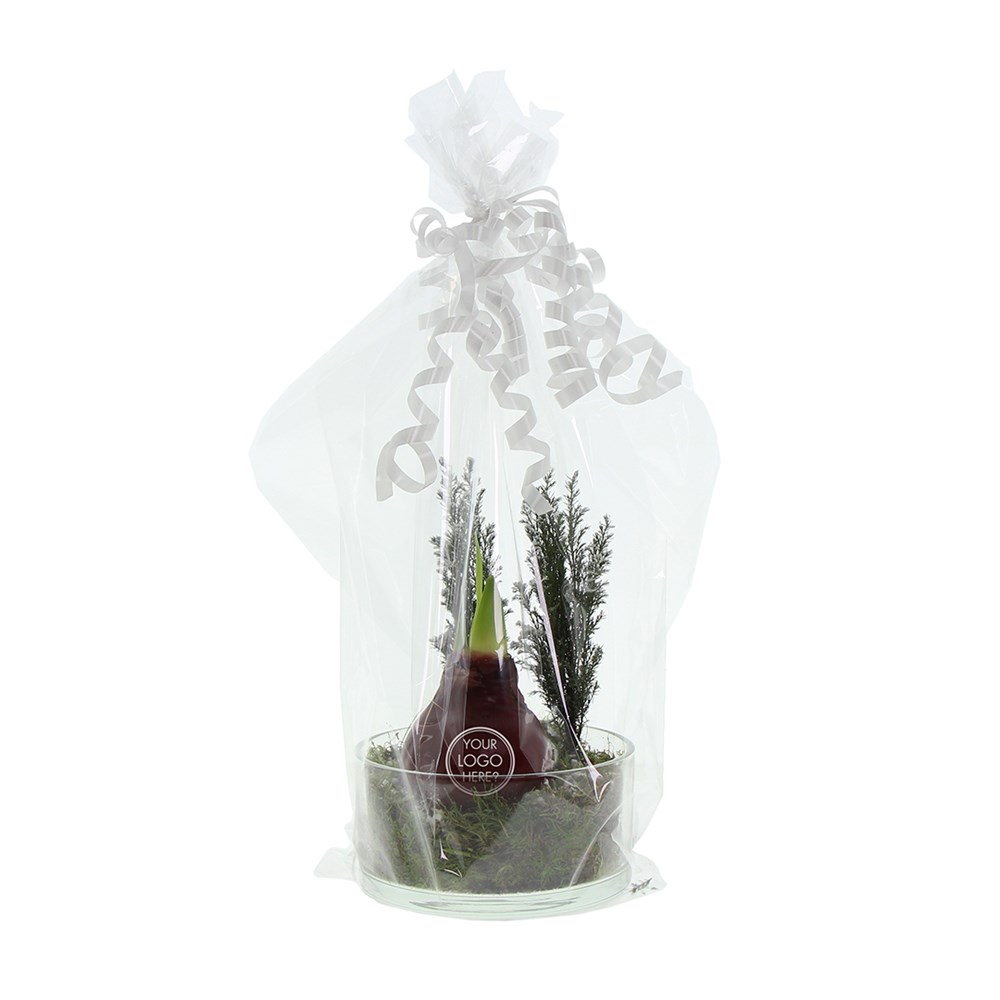 No Water Flowers® - Christmas glass elegance, In Geschenkbox, Blau No Water Flowers® - Christmas glass elegance, In Geschenkbox, Blau
