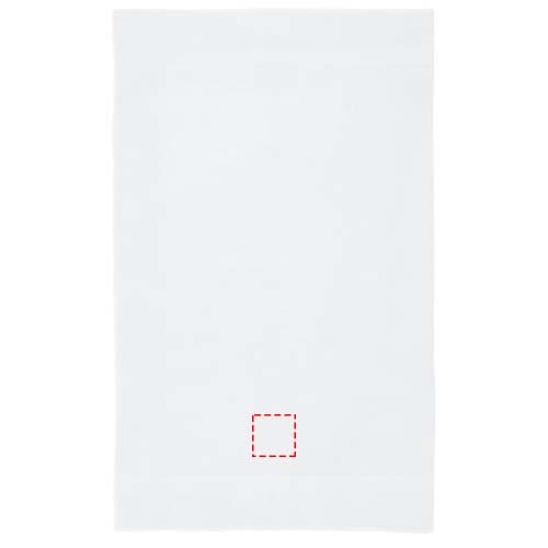 Evelyn 450 g/m² Baumwollhandtuch 100 x 180 cm