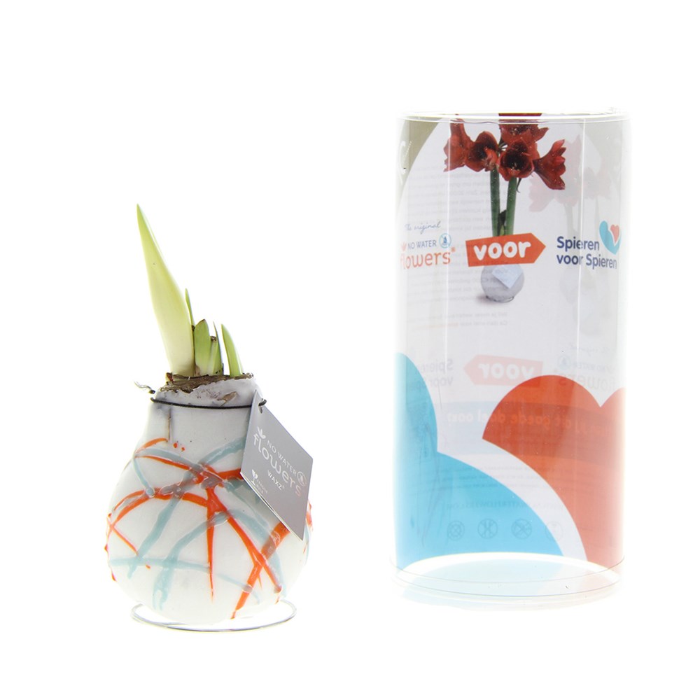 No Water Flowers® - Art, In einer Geschenktüte No Water Flowers® - Art, In einer Geschenktüte