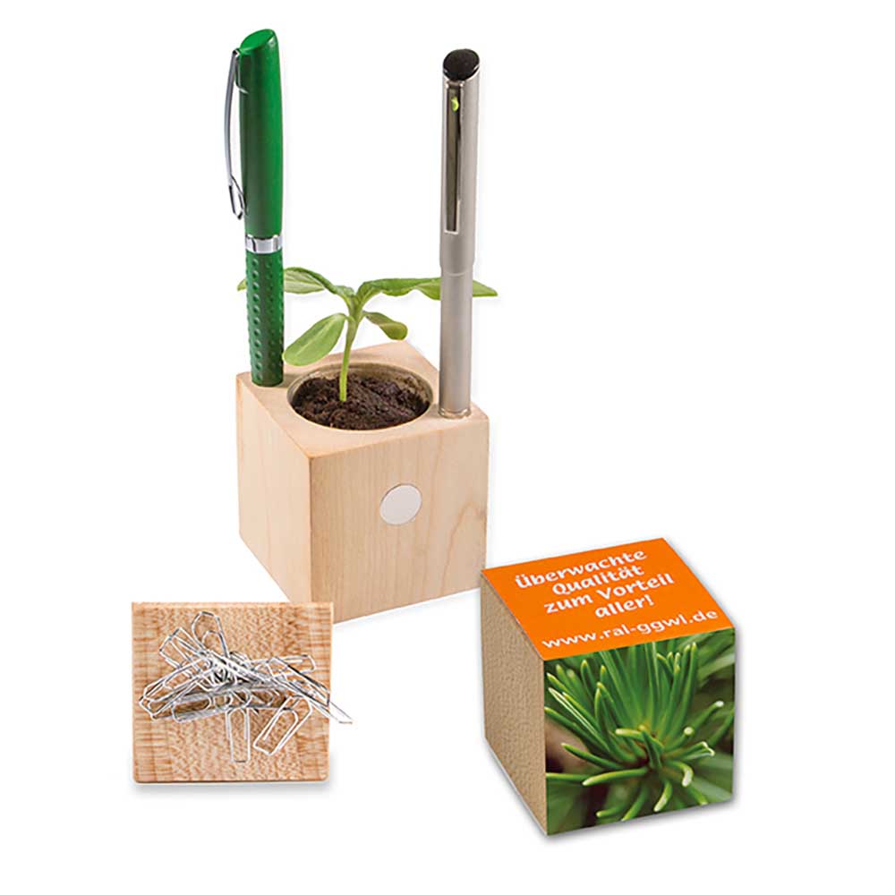 Pflanz-Holz Büro Xmas mit Fichtensamen - individuell