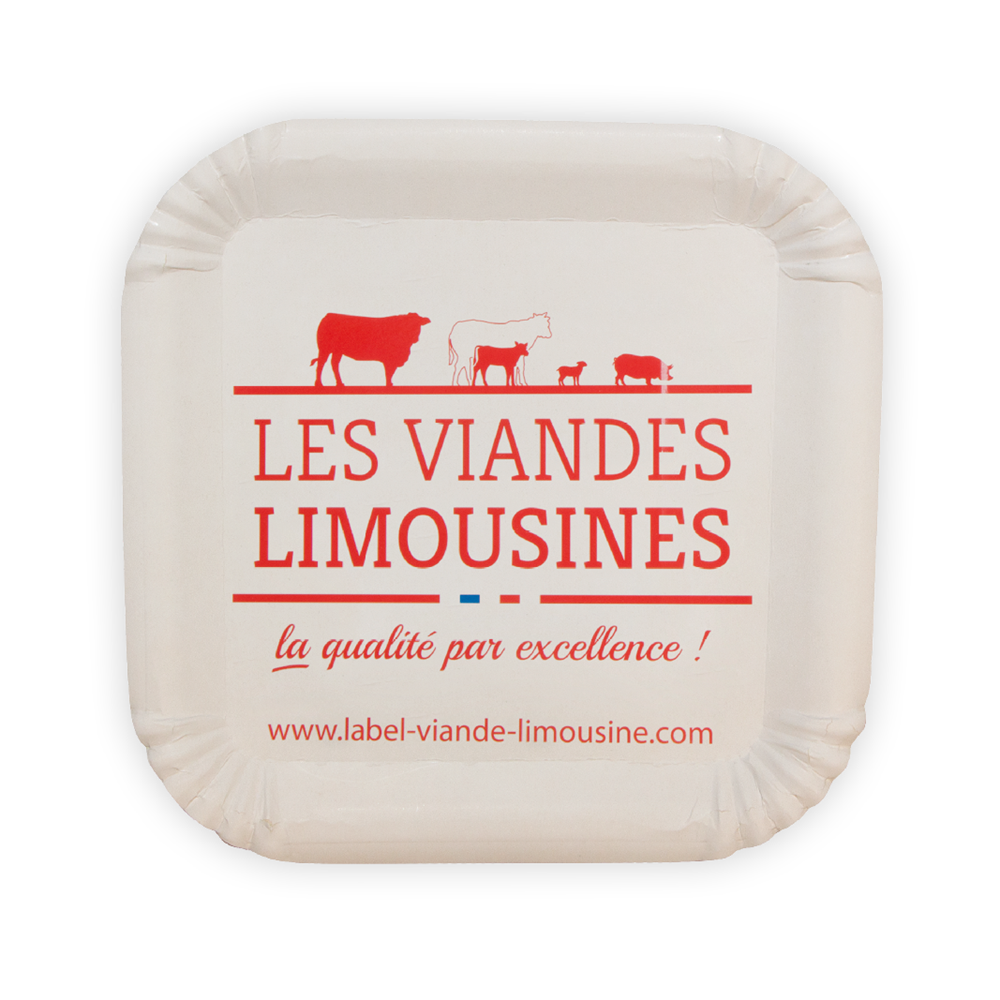 Pappteller Quadratisch 20 x 20 cm Pappteller Quadratisch 20 x 20 cm