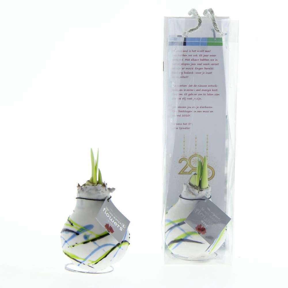 No Water Flowers® - Art, In einer Geschenktüte No Water Flowers® - Art, In einer Geschenktüte
