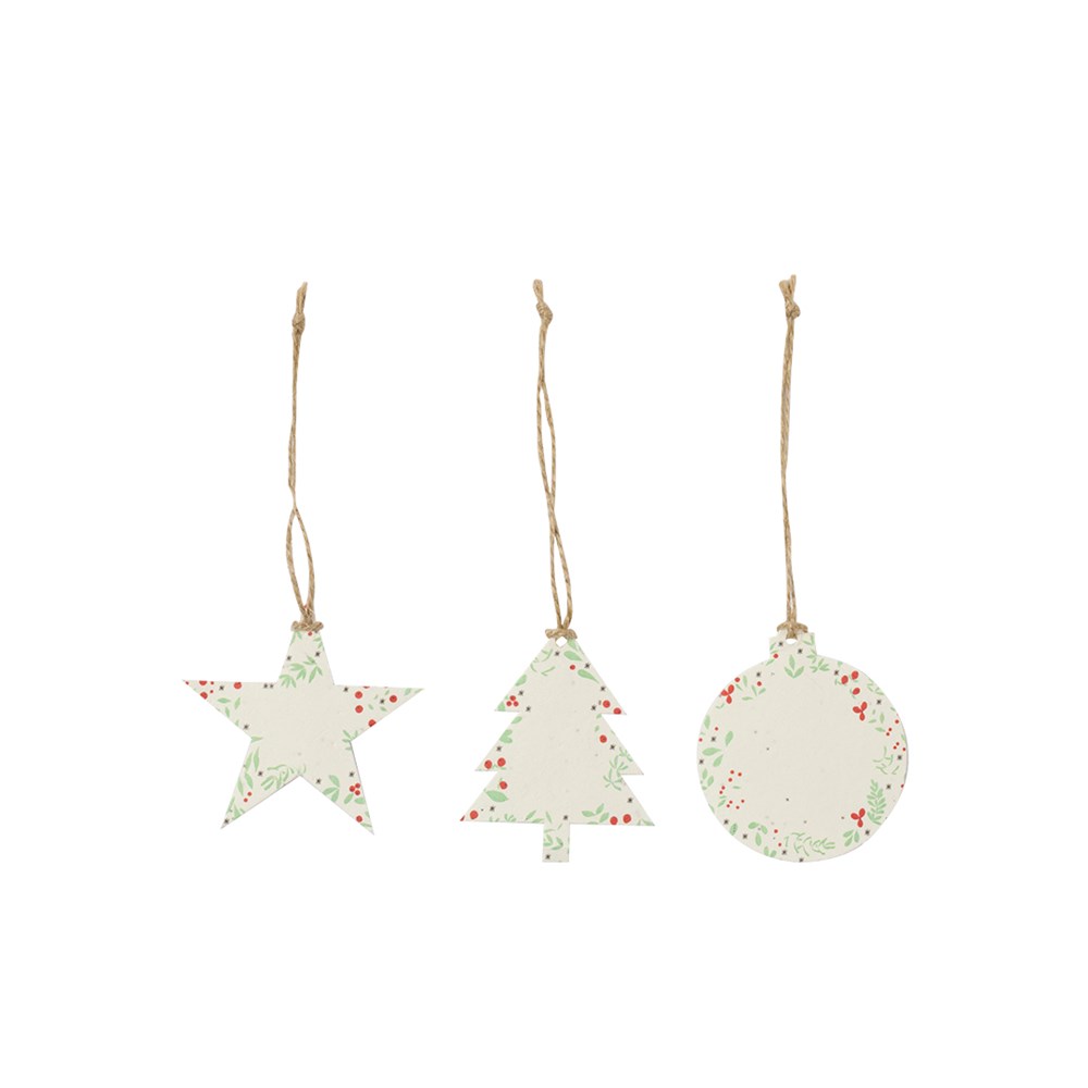 Samen Ornament Boster Samen Ornament Boster