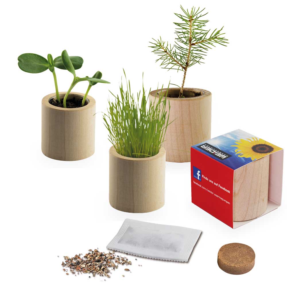 Pflanz-Holz rund mit Samen