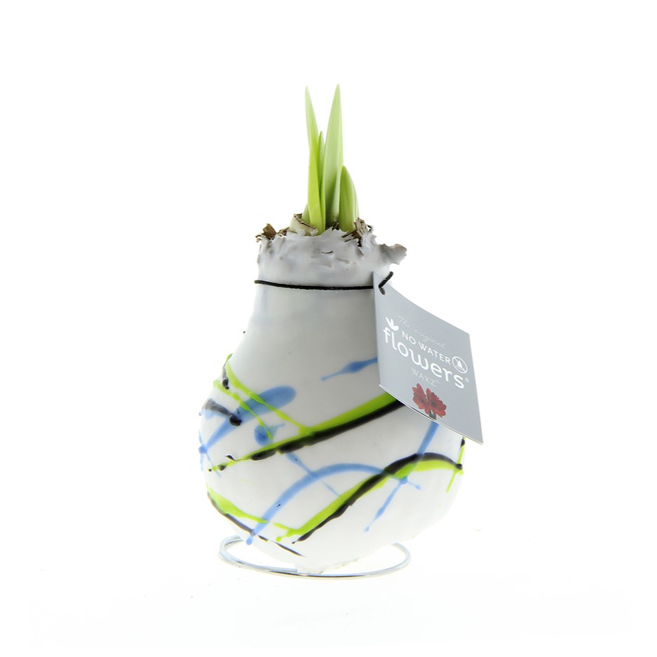 No Water Flowers® - Art