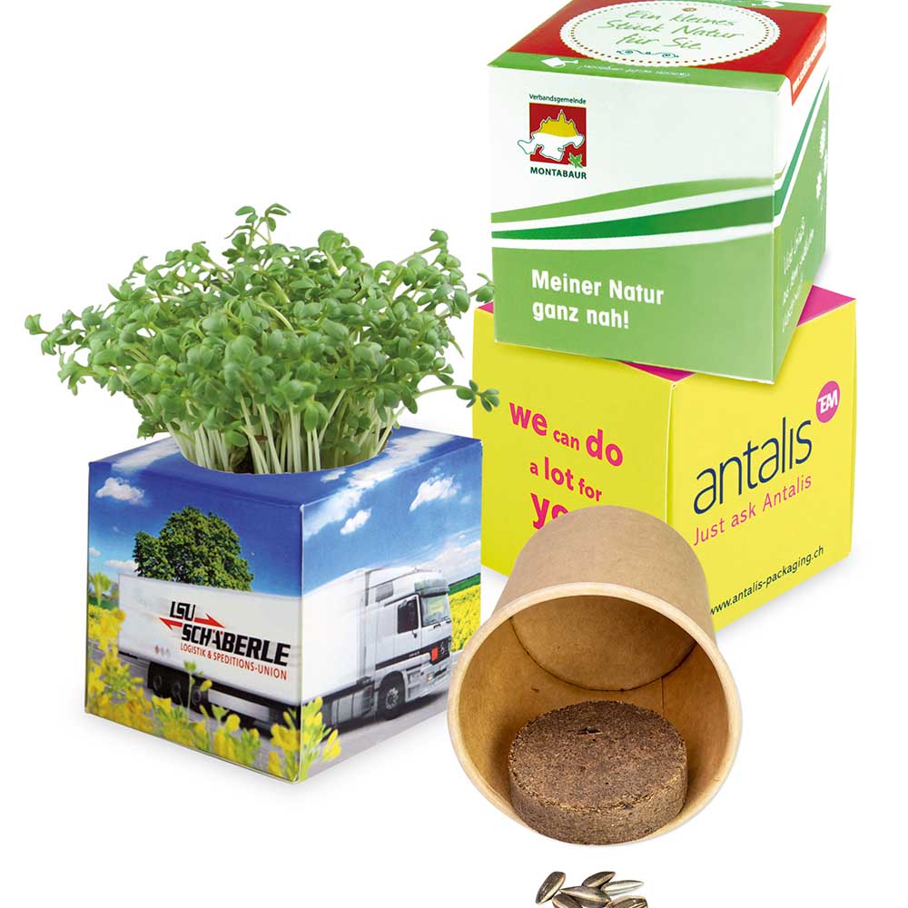 Pflanz-Würfel 2.0 mit Samen