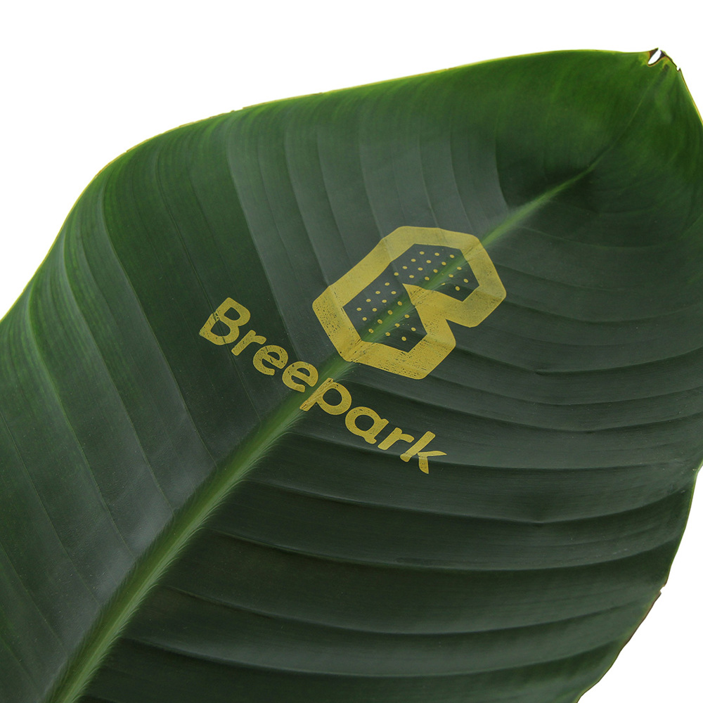 Message Printz® - Strelitzia small