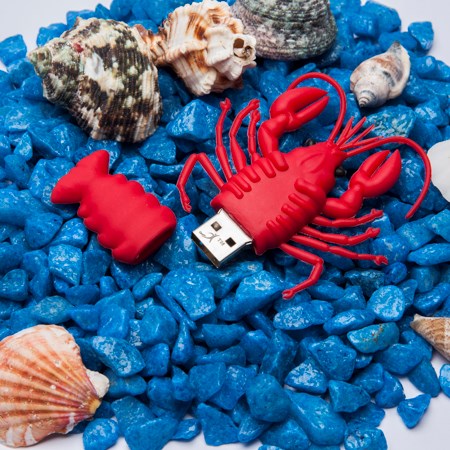 USB-Stick Krebs-Rot-64 GB USB-Stick Krebs-Rot-64 GB