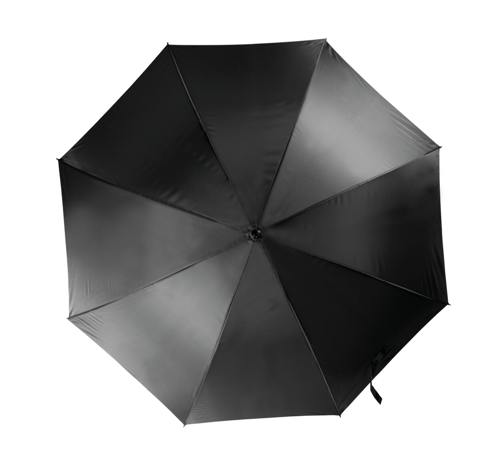 KI2021 - Automatischer Regenschirm