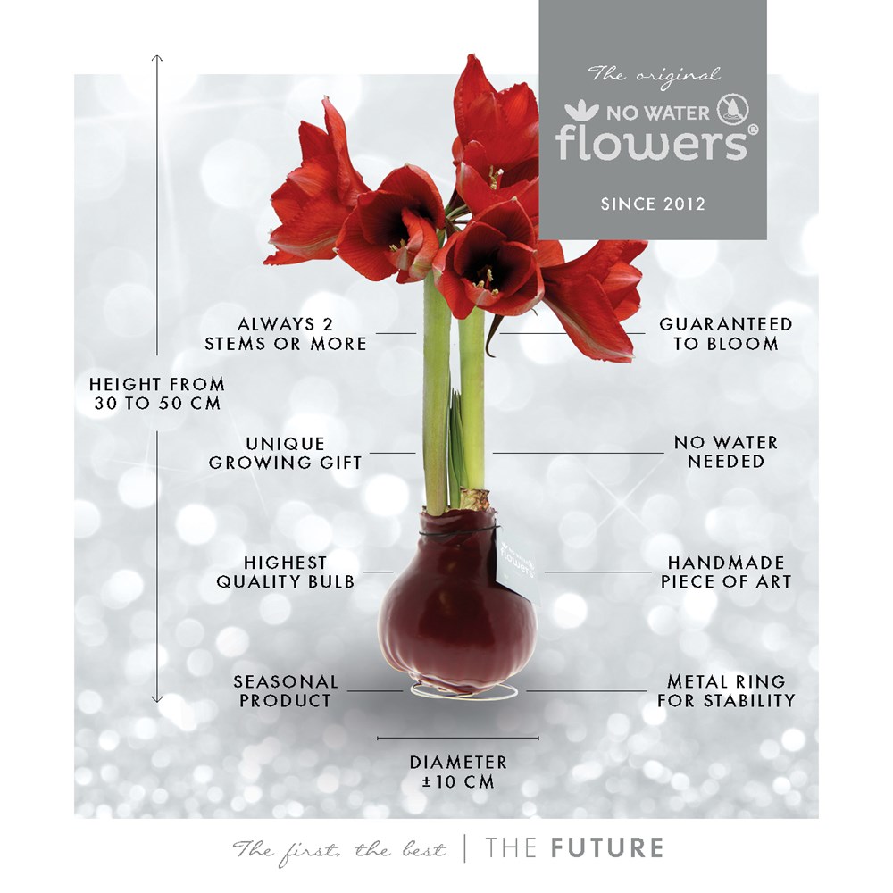 No Water Flowers® - Art, In einer Geschenktüte No Water Flowers® - Art, In einer Geschenktüte
