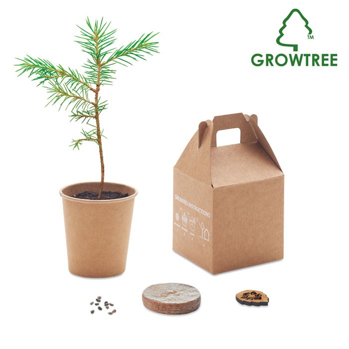 GROWTREE™ - Kiefernsamen-Set GROWTREE™ - Kiefernsamen-Set