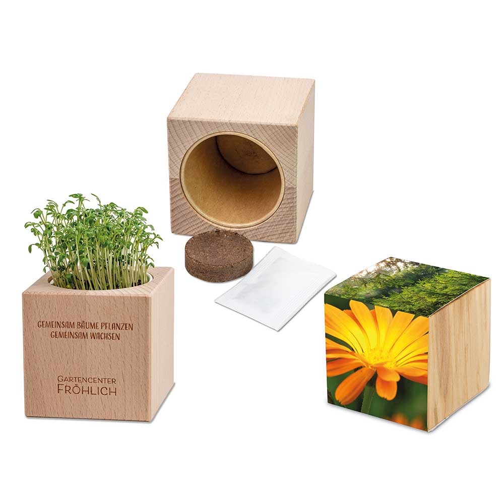 Pflanz-Holz Grande mit Samen - Ringelblume, 1 Seite gelasert Pflanz-Holz Grande mit Samen - Ringelblume, 1 Seite gelasert