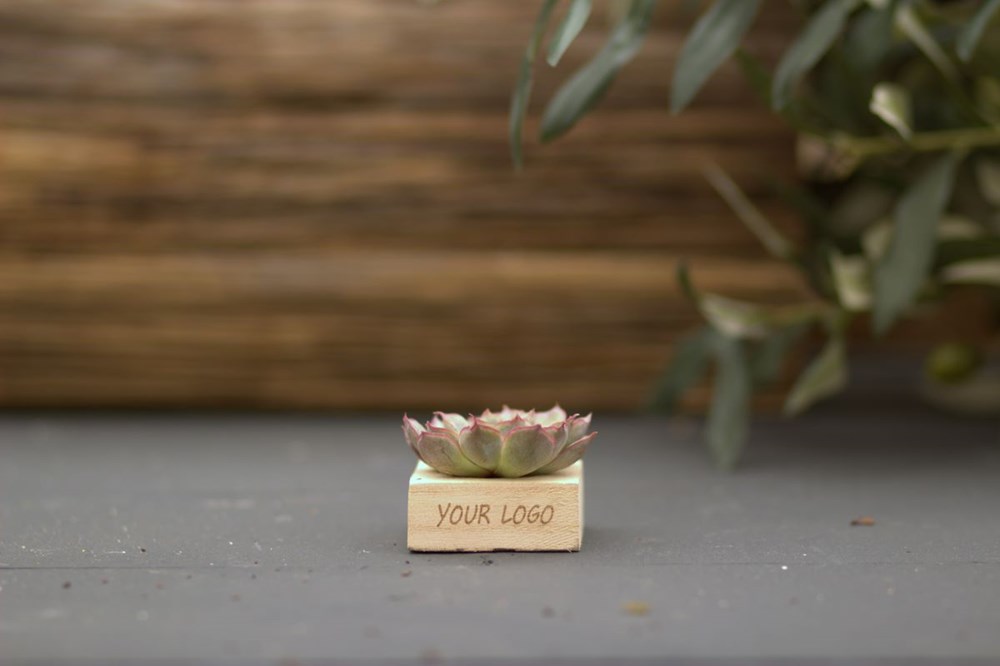 Tiny Treasurez® - Single wood Tiny Treasurez® - Single wood